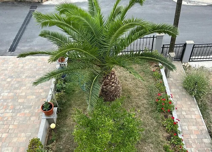 Apartment Markovic *